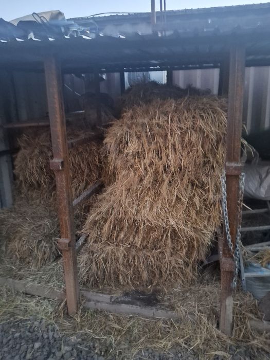 Продам сено в таковое по 20 кг в тюке этого года ,зелёное, находимся в