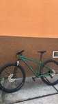 Specialized RockHopper sport 29 Green/Obsidian