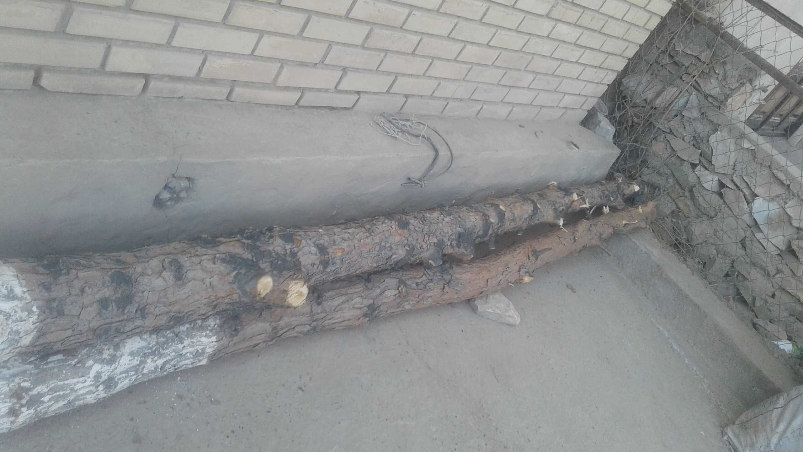 Болор сотилади 2шт