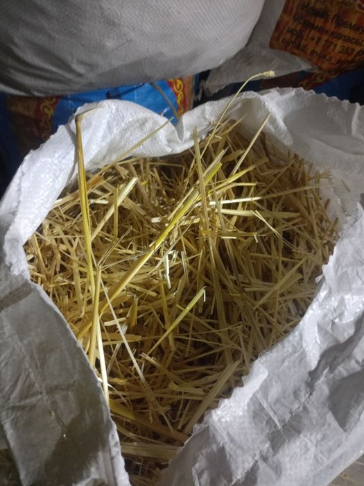 Солома в мешках, сабан, подстилка в городе