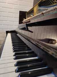 Vand pianina cu placa de bronz