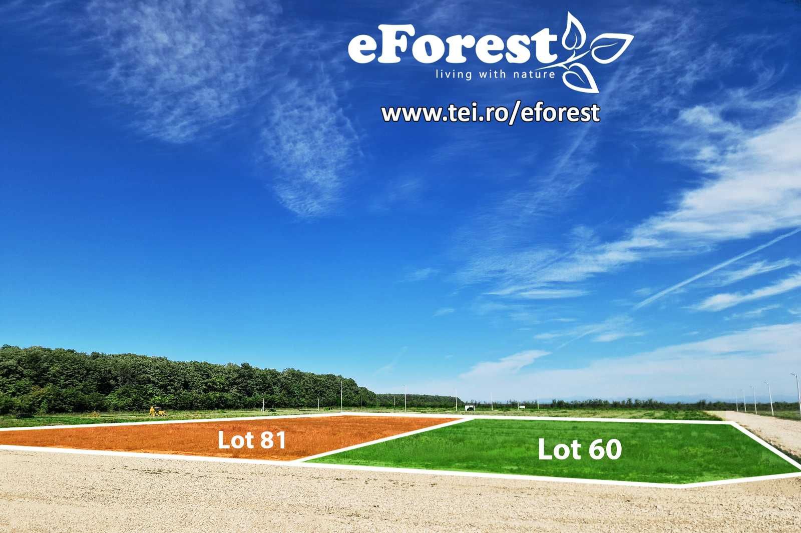 eForest 2 , loturi de teren, direct din DN1A