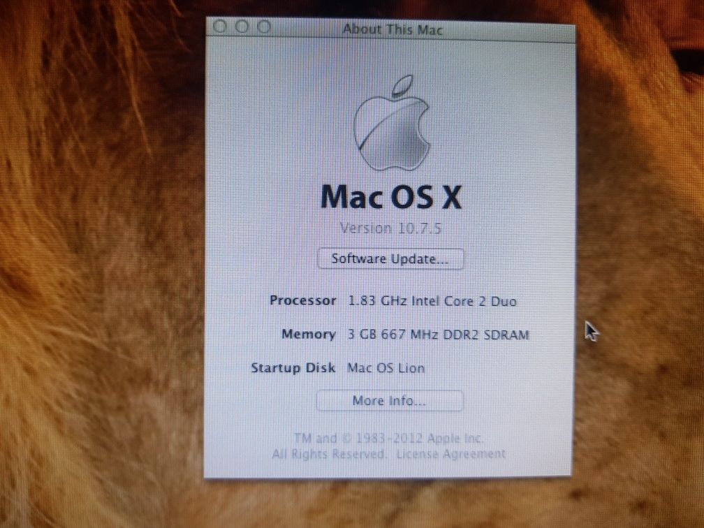 Calculator Mac mini Apple