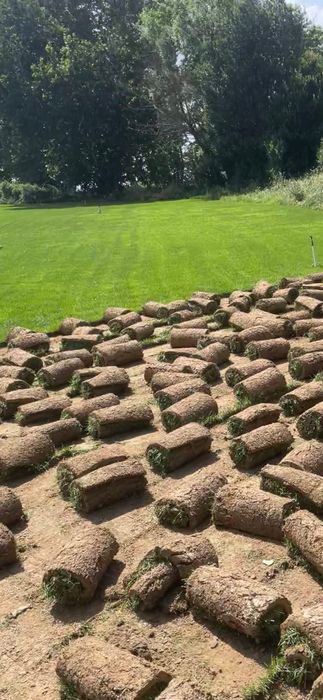 Газоны рулонный оптовая цена