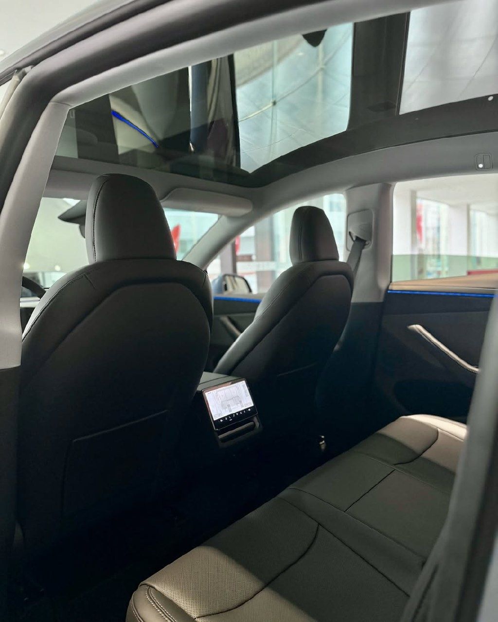 Tesla model Y 2025 cip