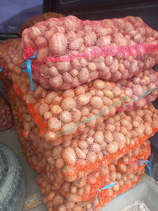 Vând cartofi de cosum și de dat la animale