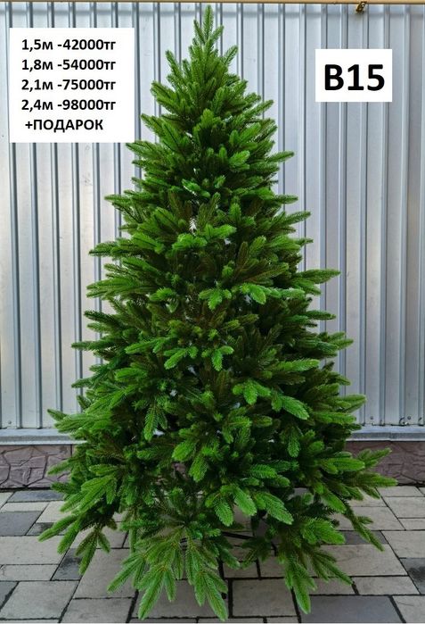 Елки с доставкой по г.Усть-каменогорск