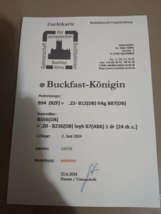 Carnica carpatina buckfast vsh familii albine regine roiuri  stupi roi