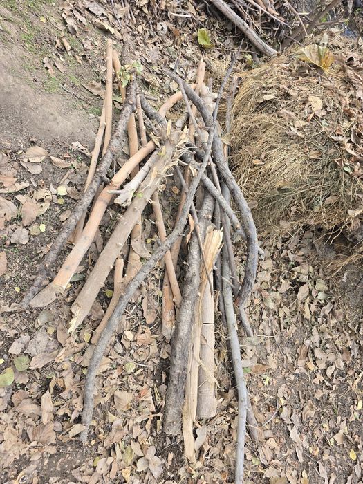 Дрова дров утин otin utin