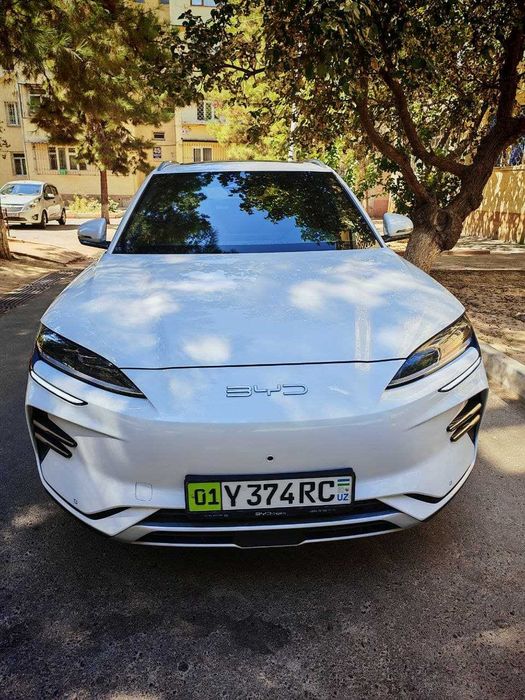 Professional turism driver - Sightseeing & travel services