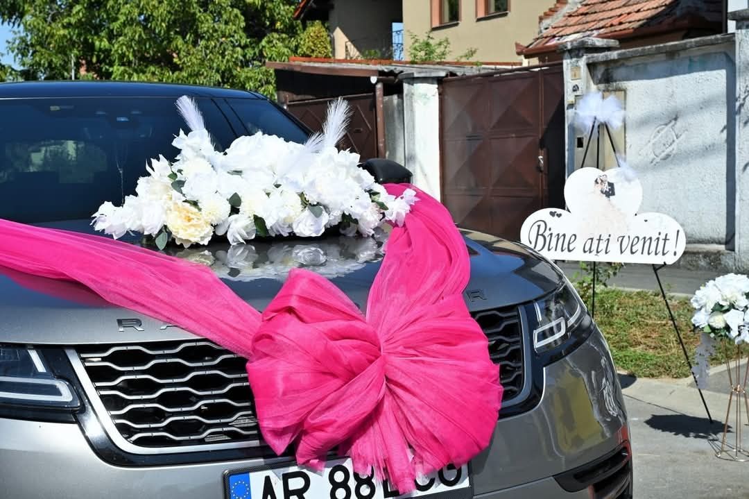 Decor nuntă- curți,mașini