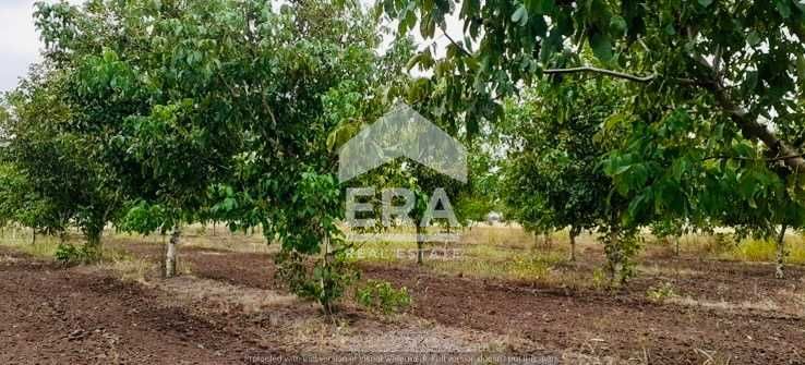 Продава се Земеделски имот в с. Семерджиево, Област Русе -  кв.м за 2447 €/дка - Снимка #2