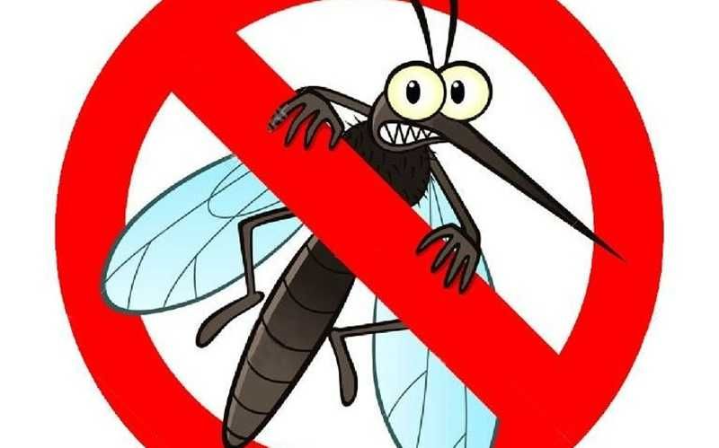 Спрей против комари, кърлежи, бълхи и всякакви насекоми
