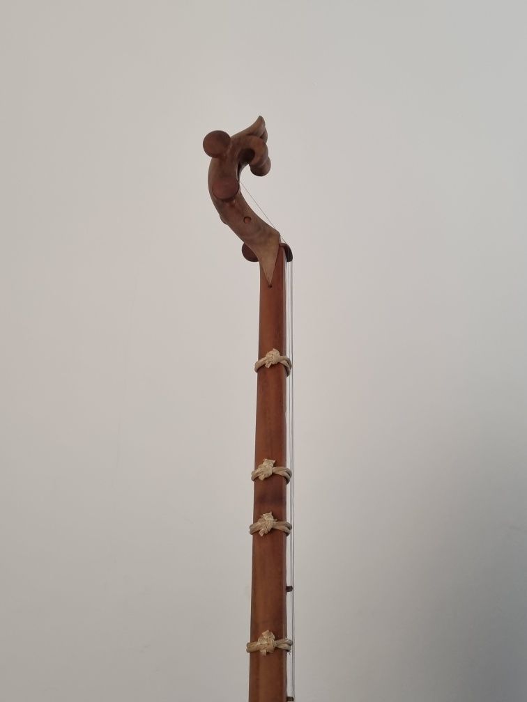 Tanbur gitara ikkalasiyam