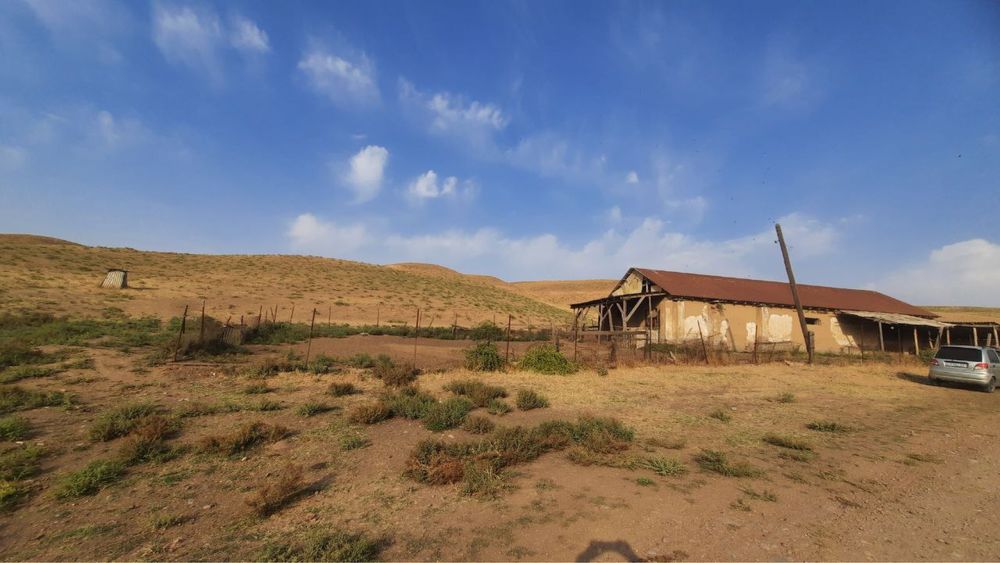 Продается большая ферма