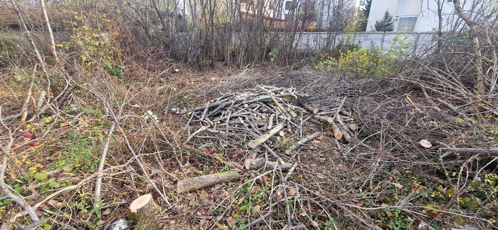 Безплатно/ Дърва за огрев различни видове,нарязани.