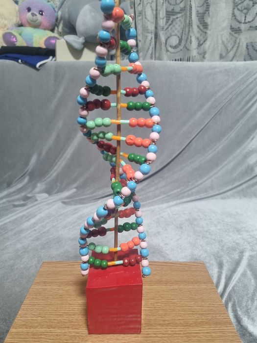 ADN Proiect scoala pentru copii clasa 5-8