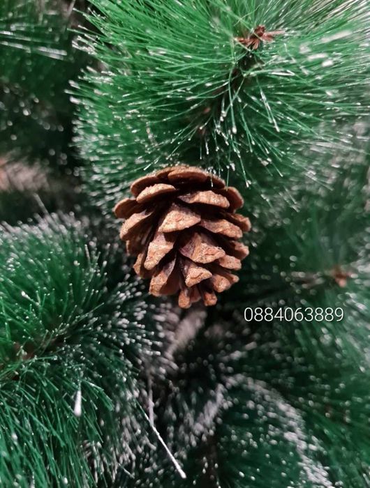 Коледни елхи с шишарки и сняг - ТОП качество и цена ! ! !