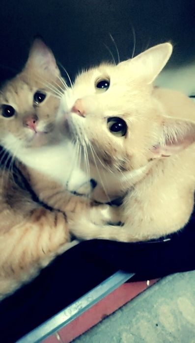 Bella și Pitic, mamă și fiu