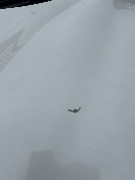 Capota Nissan Qashqai J11 2013 - 2017 SUV 4 Usi ALB (1218)