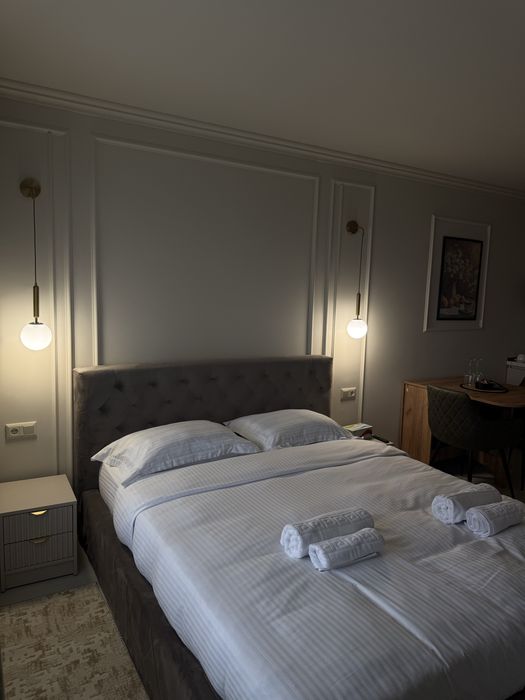 Regim Hotelier Studio/Apartament