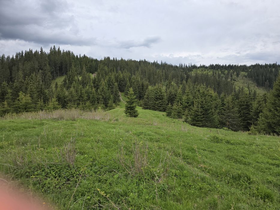 Teren extravilan 164900 MP