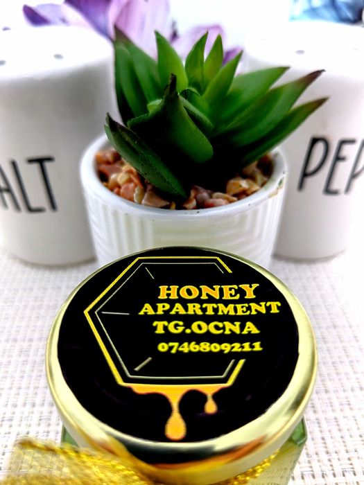 Apartament de inchiriat