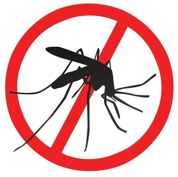 PEST KILLER ловушка для комаров для мух на всяких насекомых