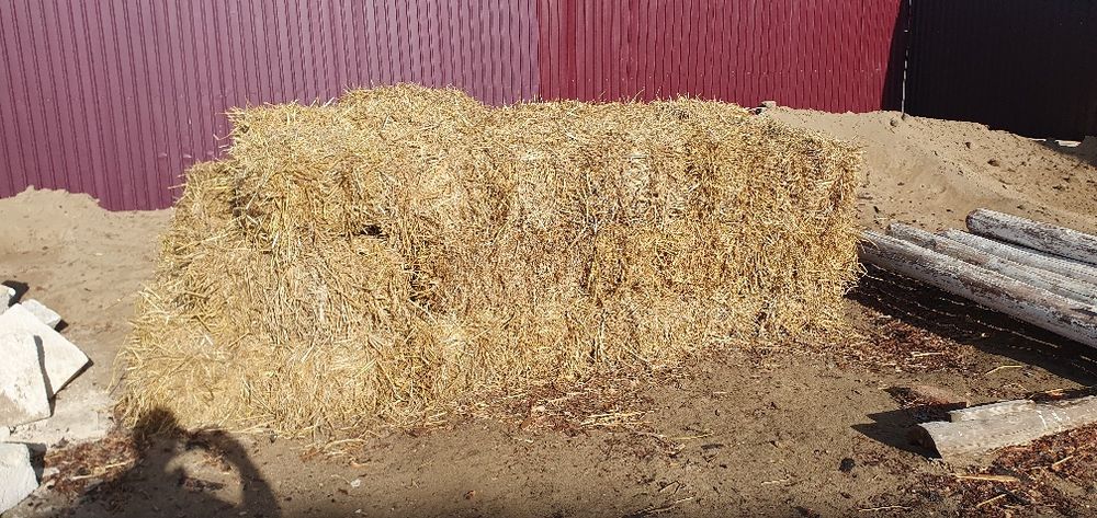 сабан, бөрен бар ақтап қойған