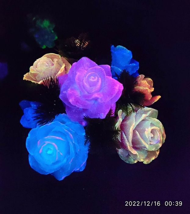 Подарки креативные необычные цветы