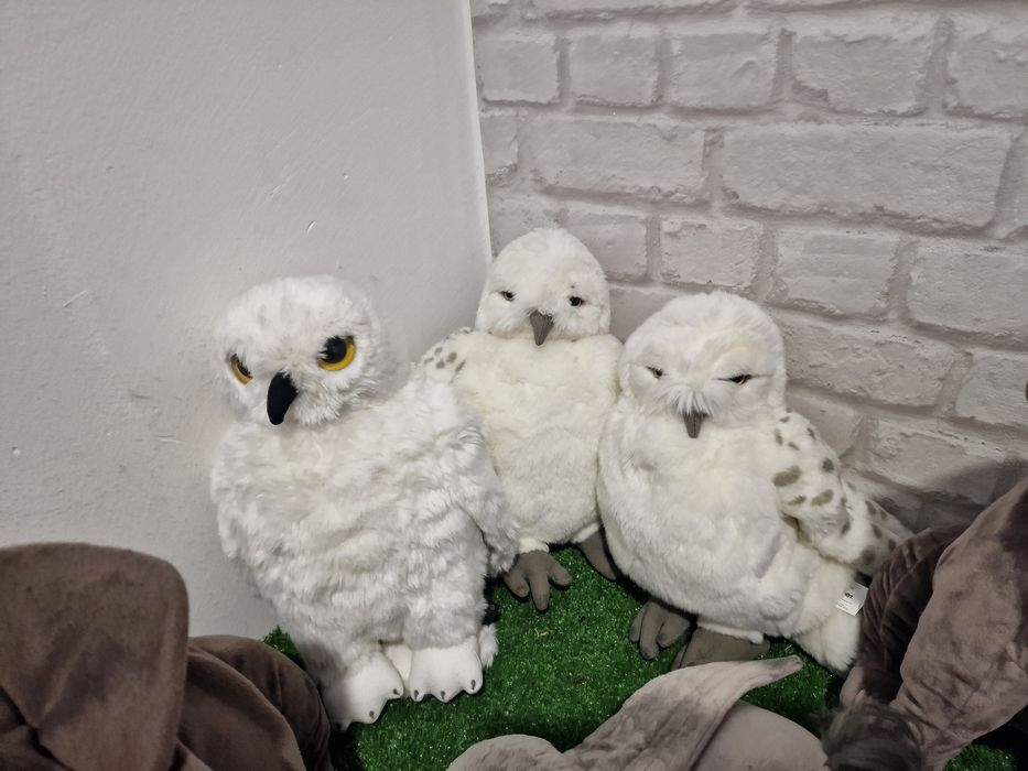 Хари Потър колекция