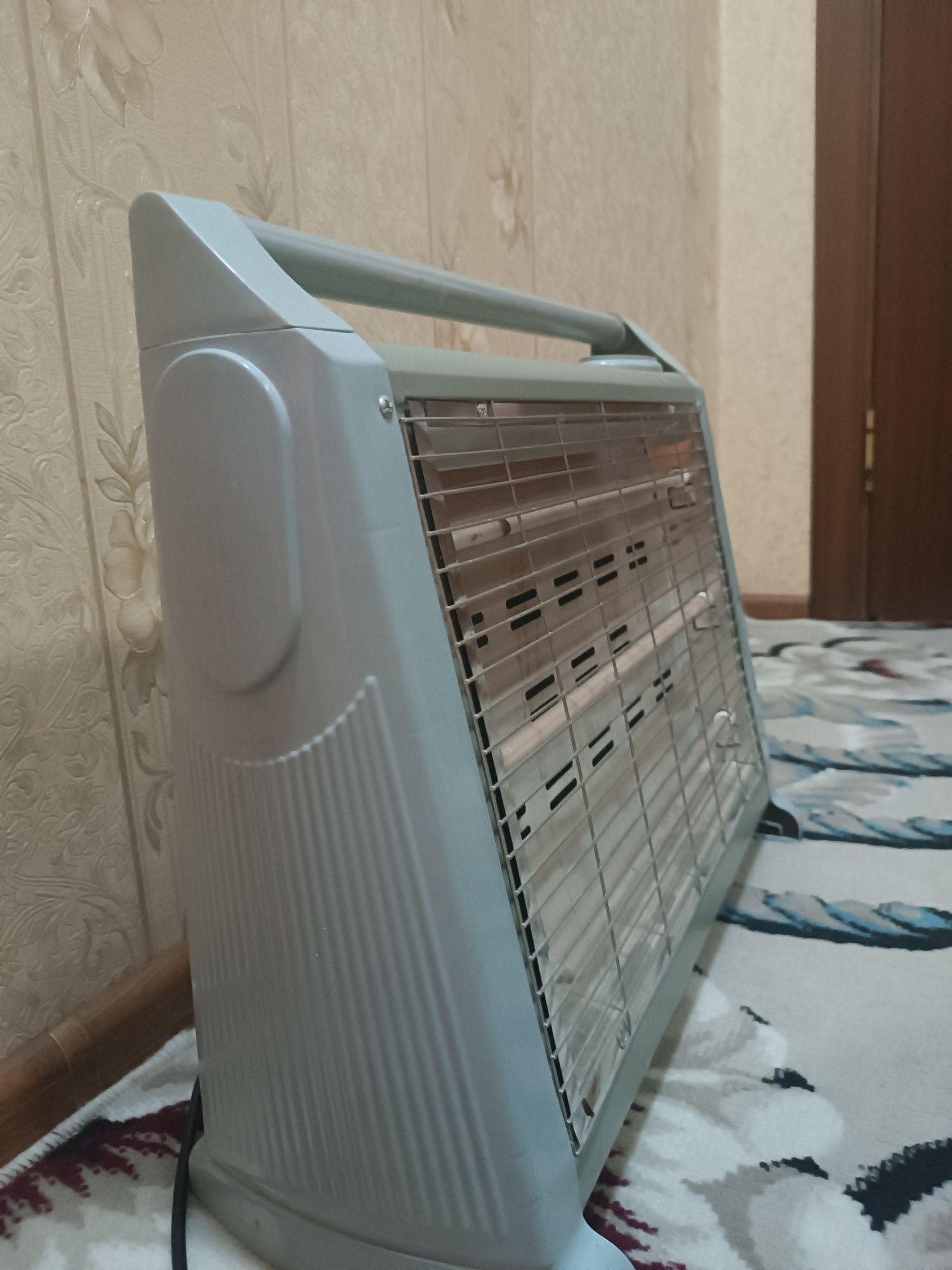 Elektro isitgich