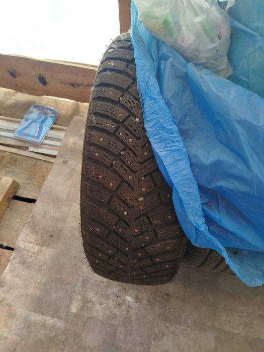 Бір Қысқы, тікенекті дөңгелек