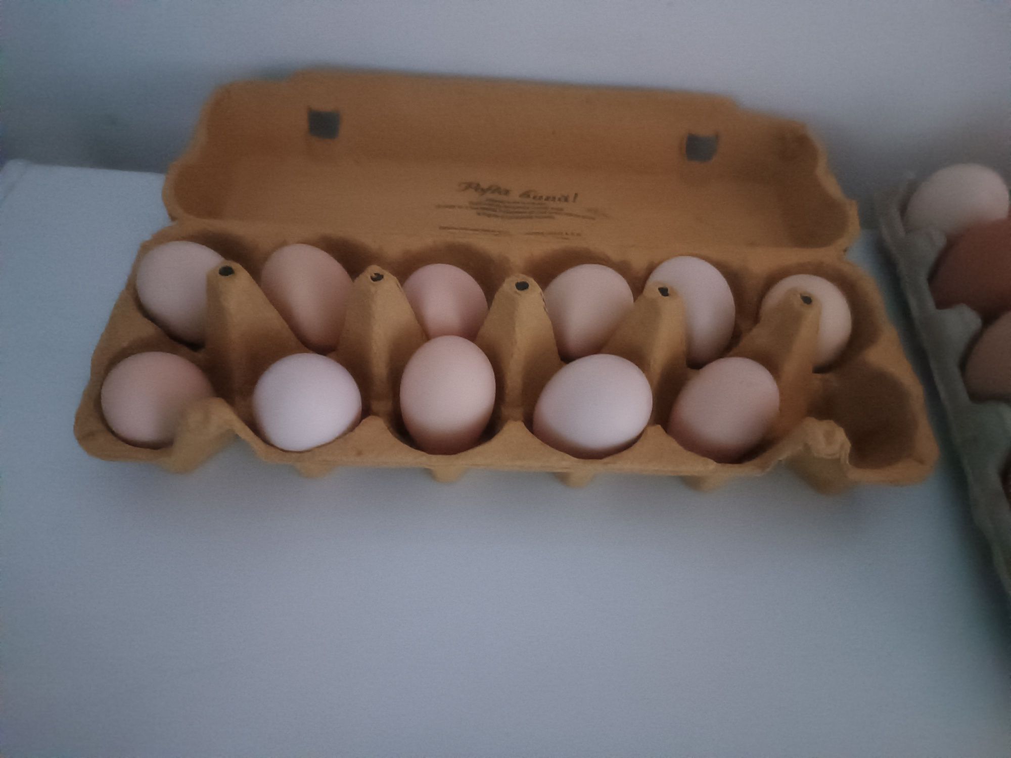 Oua pentru incubat găini Mii de flori