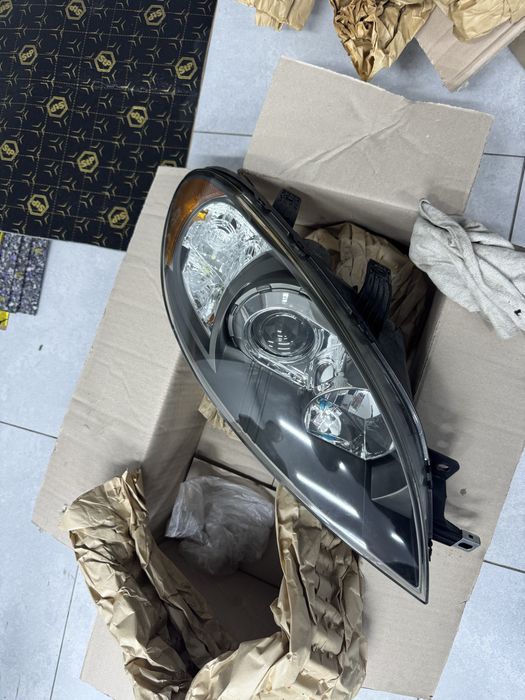 Gentra amerikanka fara