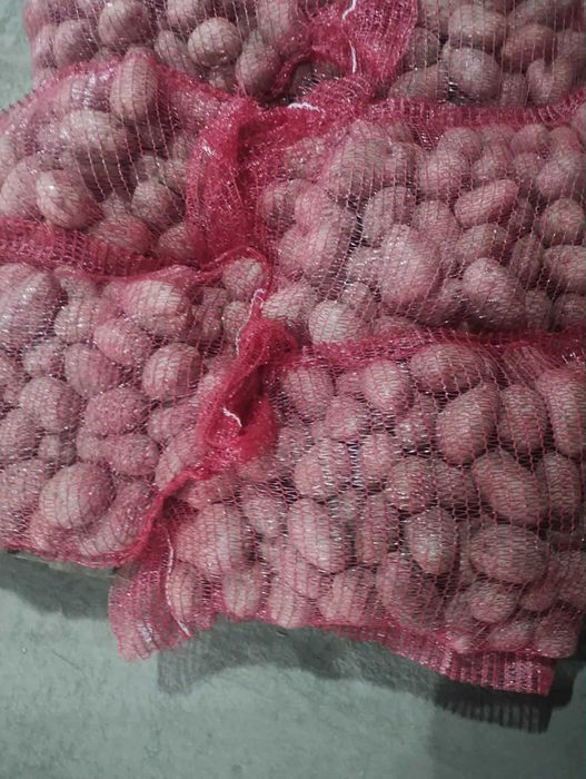 Cartof rosu consum Tel:0757×205×264