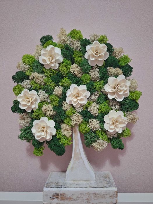 Copac licheni stabilizați