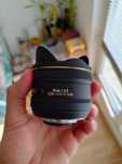 Sigma 10mm f/2.8 Fisheye за Никон