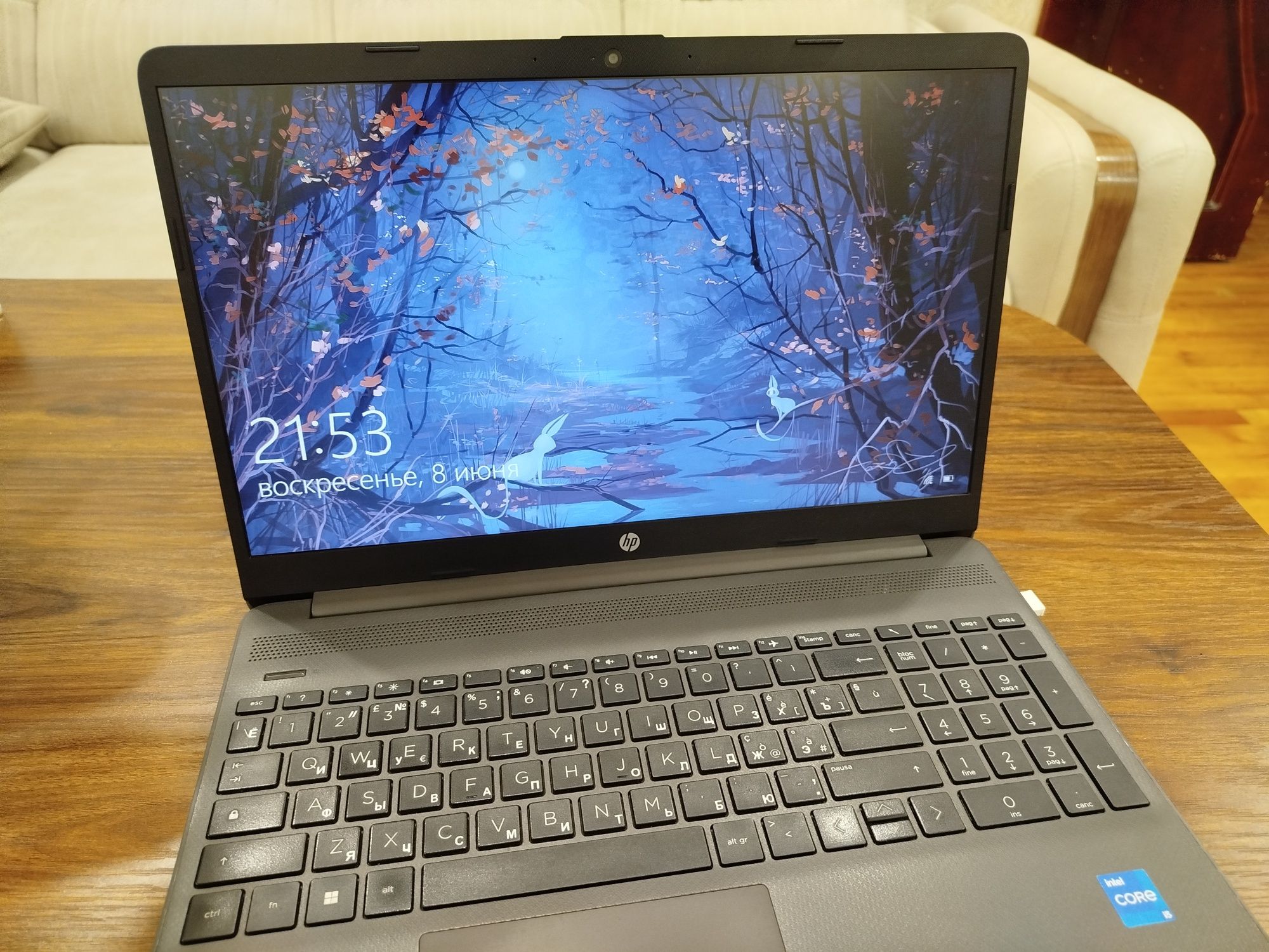 Ноутбук, HP 250 G9
