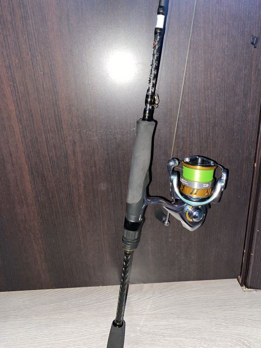 Макара daiwa regal 250 и въдица savage gear sg 2
