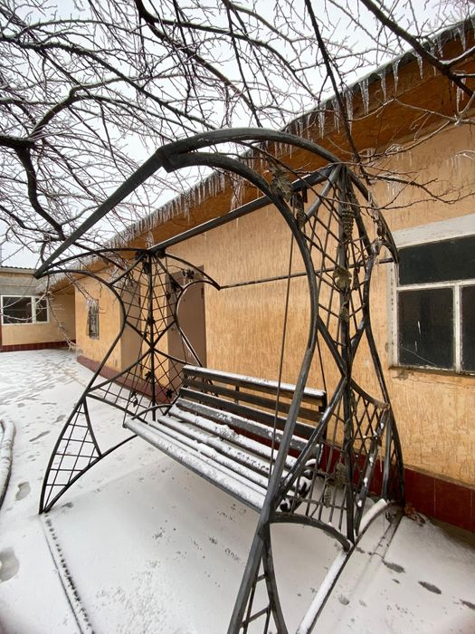 Кашеля Сатлады жаксы жагдаида