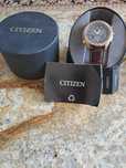 Citizen BLS 5403-03X