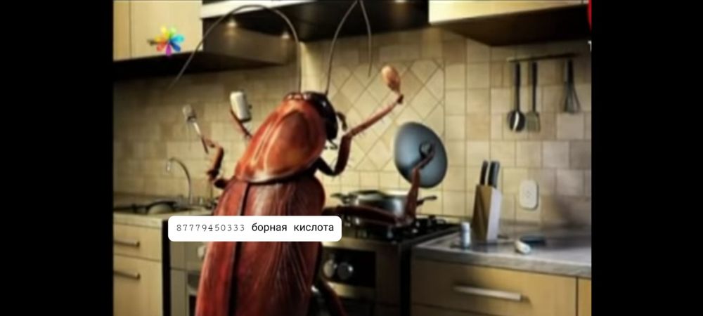 Борный порошок 7500 тг
