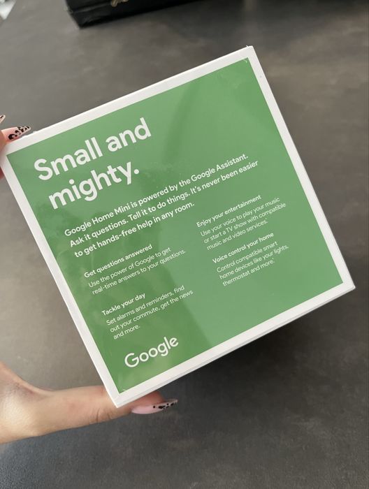 Google Home Mini