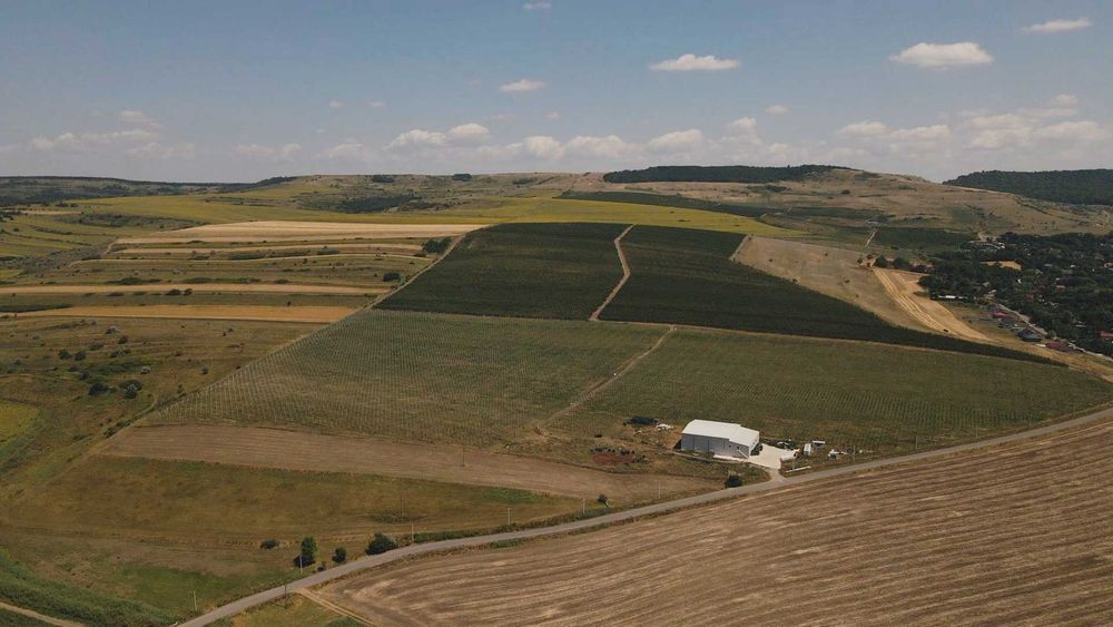 Livada ecologica 60ha pomi fructiferi cu depozit frig finalizat 2025