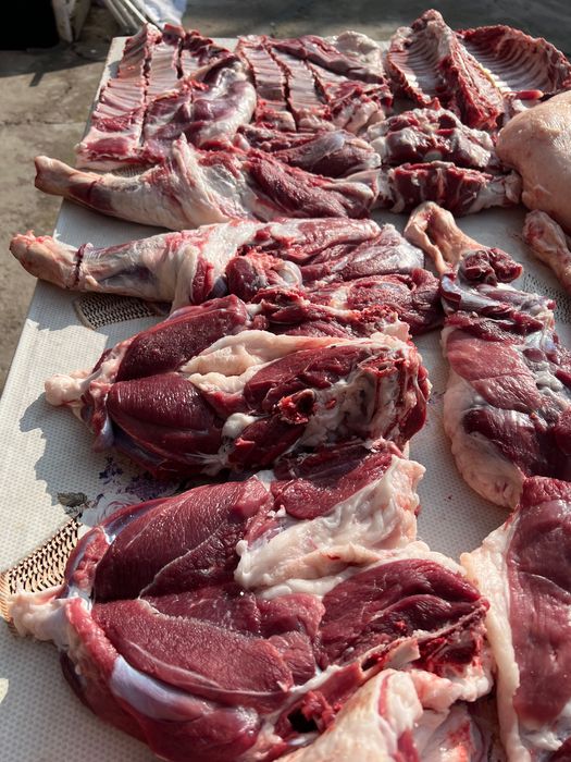 Qassob xizmati halal servis
