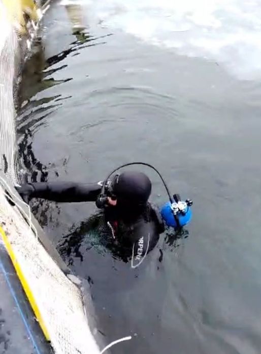 Услуги Водолаза ВКО