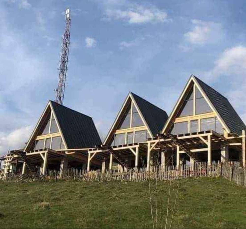 Vand cabane din lemn tip A