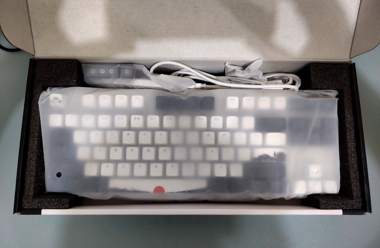 Dark Project One DP087 keyboard RGB  $50