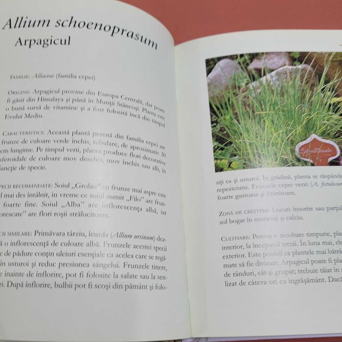 Plante aromatice - Dictionarul Dumont